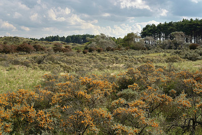 BUITEN BEELD Foto: 360551