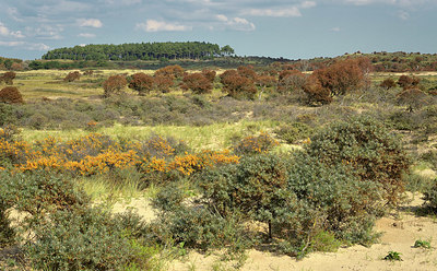 BUITEN BEELD Foto: 360552