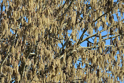 BUITEN BEELD Foto: 360558