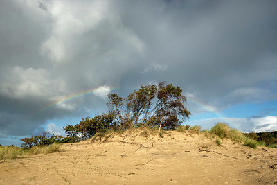 BUITEN BEELD Foto: 360615