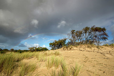 BUITEN BEELD Foto: 360616