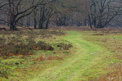 BUITEN BEELD Foto: 360629