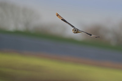 BUITEN BEELD Foto: 360677