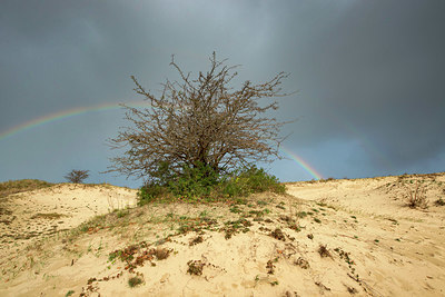 BUITEN BEELD Foto: 360736