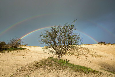 BUITEN BEELD Foto: 360737