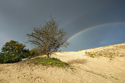 BUITEN BEELD Foto: 360738