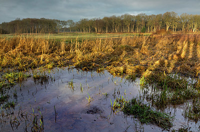 BUITEN BEELD Foto: 360743