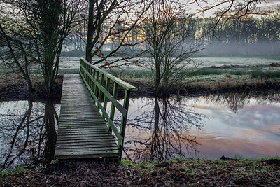 BUITEN BEELD Foto: 360745