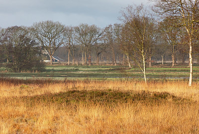 BUITEN BEELD Foto: 360747