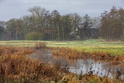 BUITEN BEELD Foto: 360748