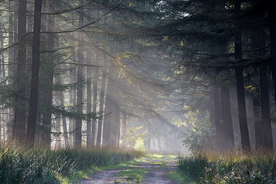 BUITEN BEELD Foto: 360930
