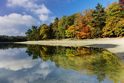 BUITEN BEELD Foto: 360963