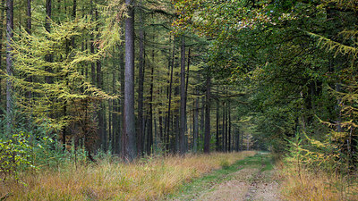 BUITEN BEELD Foto: 360965