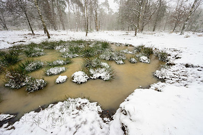 BUITEN BEELD Foto: 360982