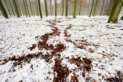 BUITEN BEELD Foto: 360985