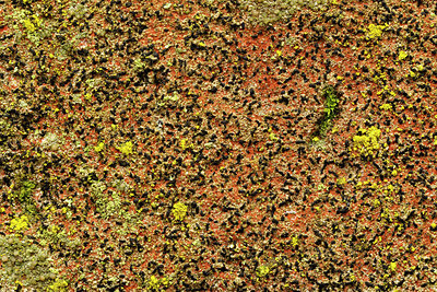 BUITEN BEELD Foto: 361040