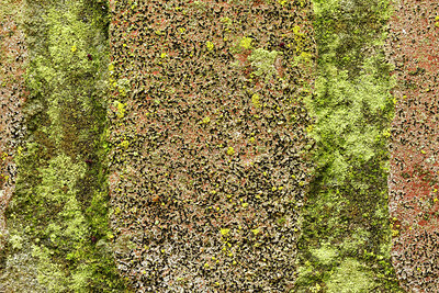 BUITEN BEELD Foto: 361045
