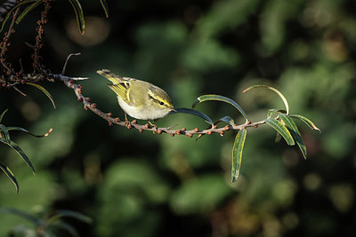 BUITEN BEELD Foto: 361051