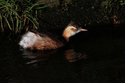 BUITEN BEELD Foto: 361071