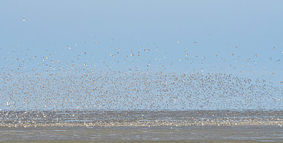 BUITEN BEELD Foto: 361099