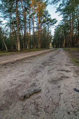 BUITEN BEELD Foto: 361135