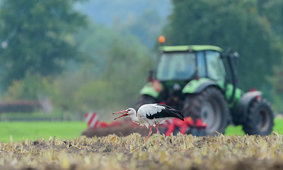 BUITEN BEELD Foto: 361159