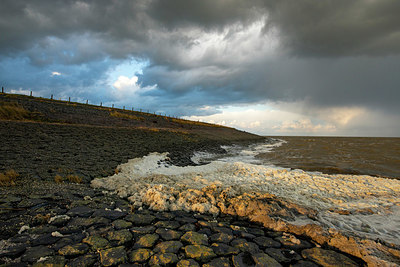 BUITEN BEELD Foto: 361227