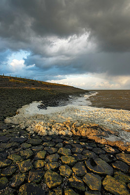 BUITEN BEELD Foto: 361228