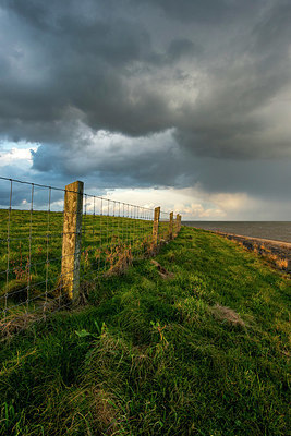 BUITEN BEELD Foto: 361230