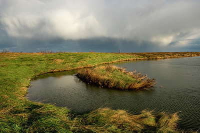 BUITEN BEELD Foto: 361255