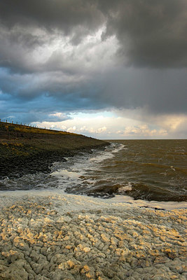 BUITEN BEELD Foto: 361275