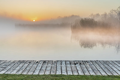 BUITEN BEELD Foto: 361278