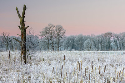 BUITEN BEELD Foto: 361291