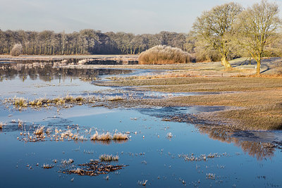 BUITEN BEELD Foto: 361297