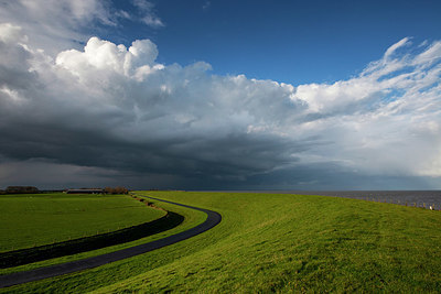 BUITEN BEELD Foto: 361329