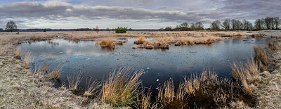 BUITEN BEELD Foto: 361337