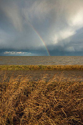 BUITEN BEELD Foto: 361339