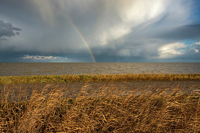 BUITEN BEELD Foto: 361340