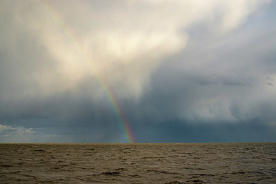 BUITEN BEELD Foto: 361342