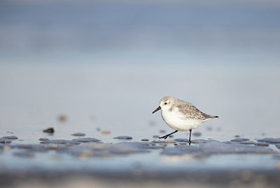 BUITEN BEELD Foto: 361359