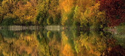 BUITEN BEELD Foto: 361379