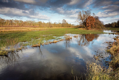 BUITEN BEELD Foto: 361436