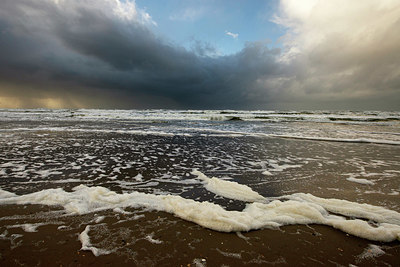 BUITEN BEELD Foto: 361648
