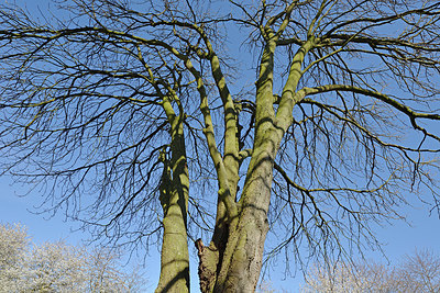 BUITEN BEELD Foto: 361670
