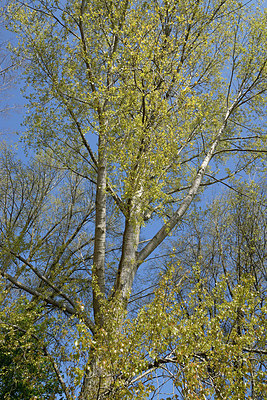 BUITEN BEELD Foto: 361717