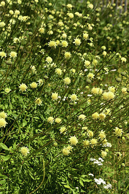 BUITEN BEELD Foto: 361770