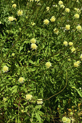 BUITEN BEELD Foto: 361771