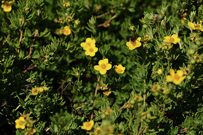 BUITEN BEELD Foto: 361779