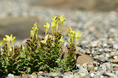 BUITEN BEELD Foto: 361804