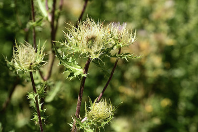 BUITEN BEELD Foto: 361813